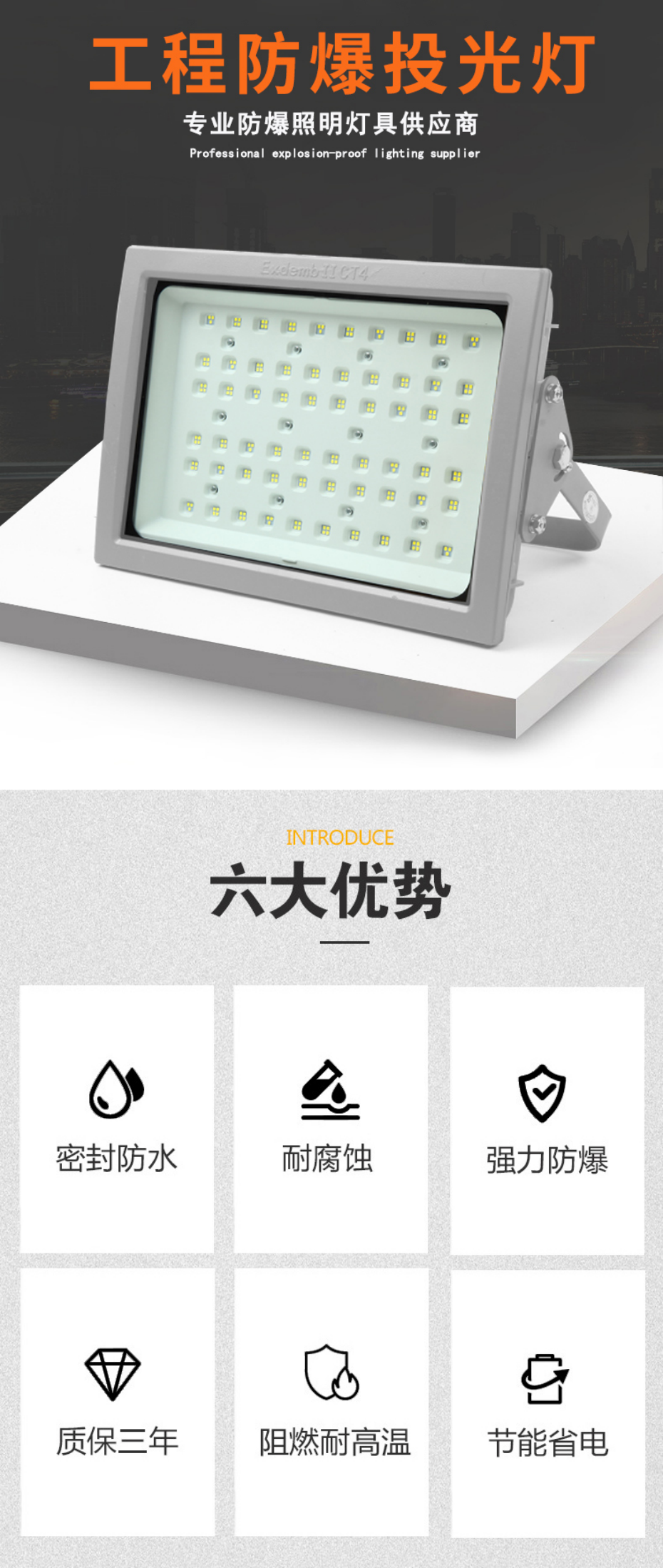 LED防爆泛光灯